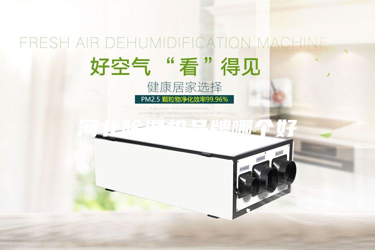 河北除濕機品牌哪個好