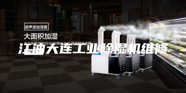 江油大連工業(yè)除濕機維修