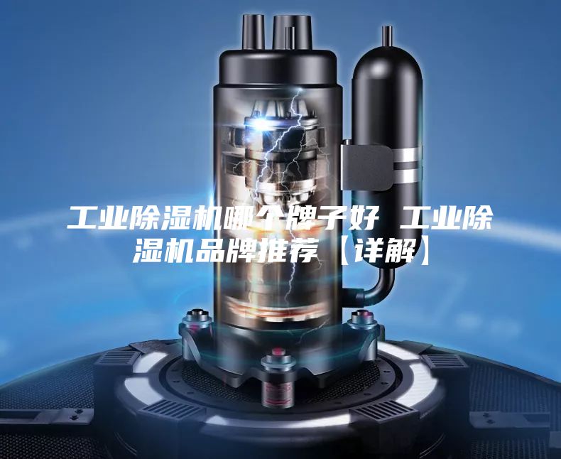 工業(yè)除濕機哪個牌子好 工業(yè)除濕機品牌推薦【詳解】