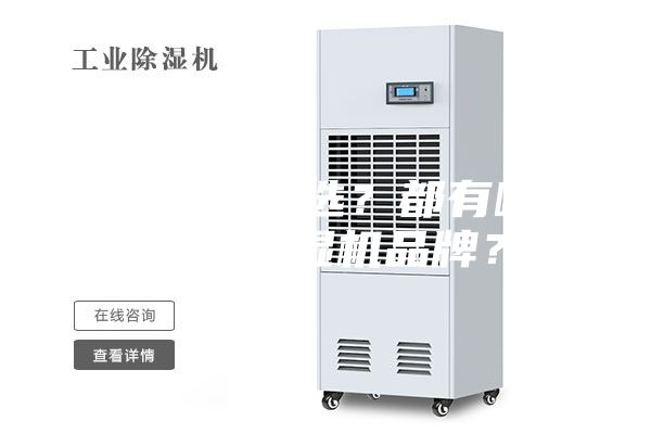 除濕機怎么選？都有哪些好的除濕機品牌？