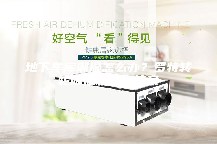地下車庫潮濕怎么辦？羅特轉輪除濕機給你答案