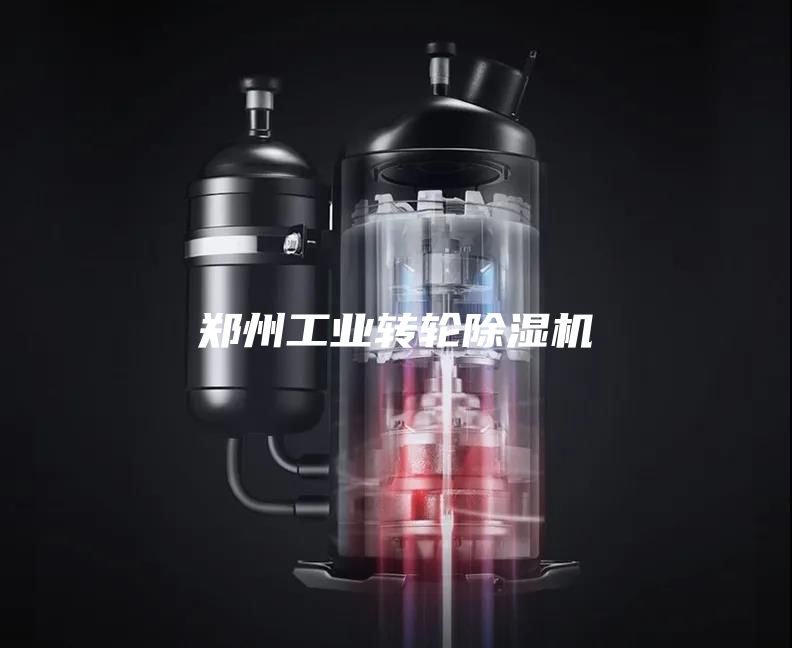 鄭州工業(yè)轉輪除濕機