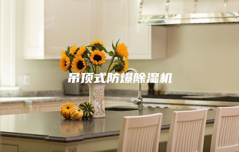 吊頂式防爆除濕機(jī)