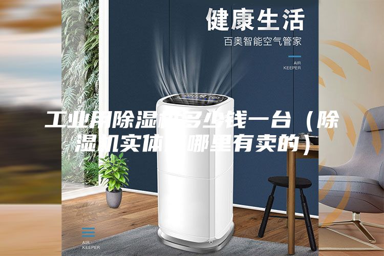 工業(yè)用除濕機多少錢一臺(除濕機實體店哪里有賣的)
