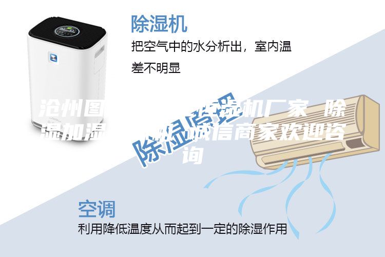 滄州圖書館凈化恒濕機(jī)廠家 除濕加濕一體機(jī) 誠(chéng)信商家歡迎咨詢