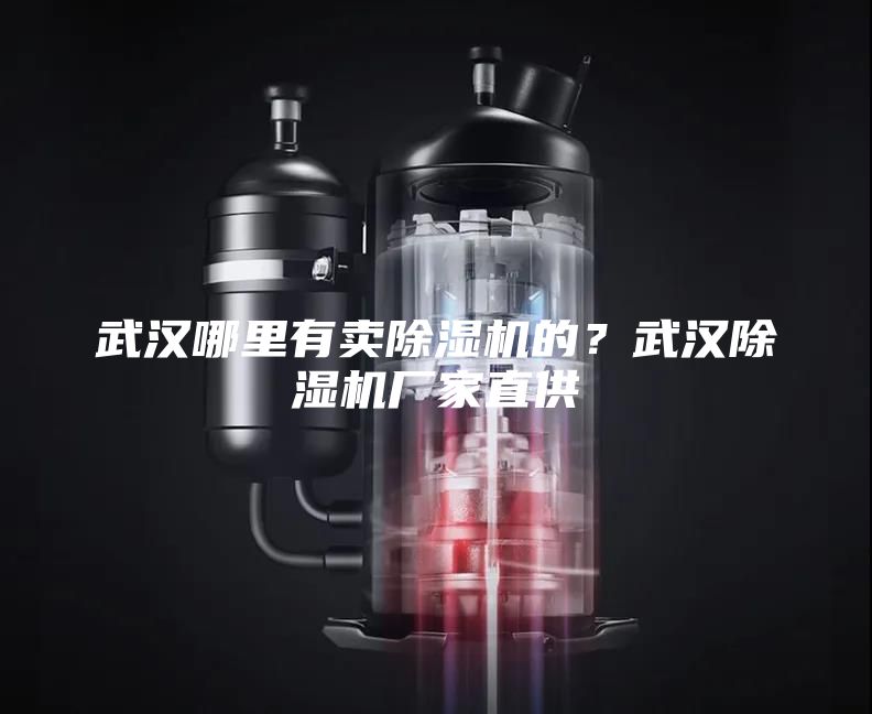 武漢哪里有賣除濕機(jī)的？武漢除濕機(jī)廠家直供