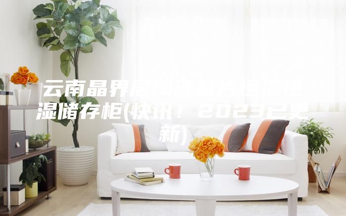 云南晶界層陶瓷基片恒溫恒濕儲存柜(快訊！2023已更新)