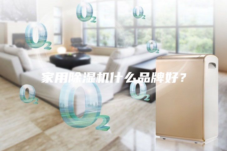 家用除濕機什么品牌好？