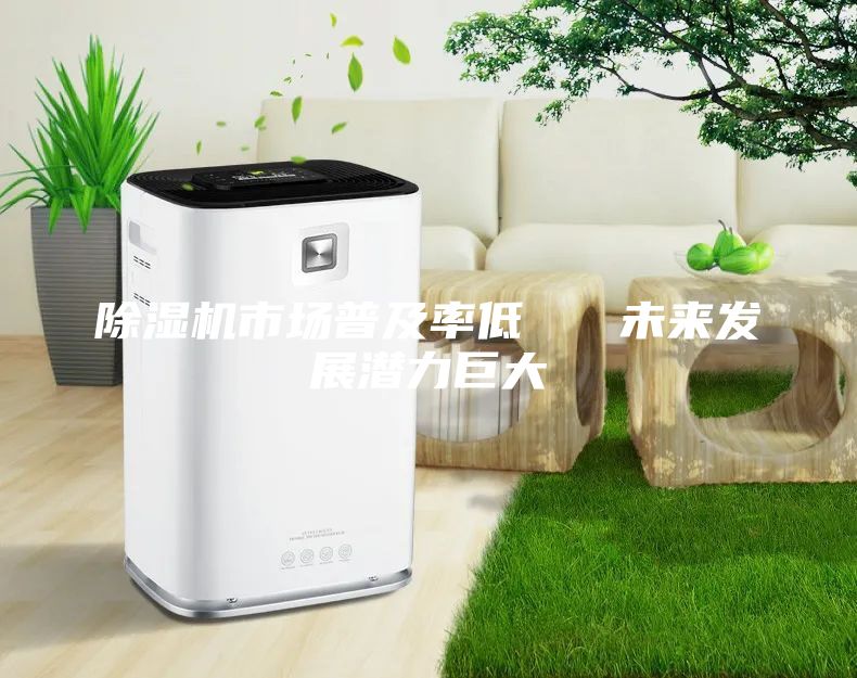除濕機市場普及率低   未來發(fā)展?jié)摿薮?/></p>
                            <p style=