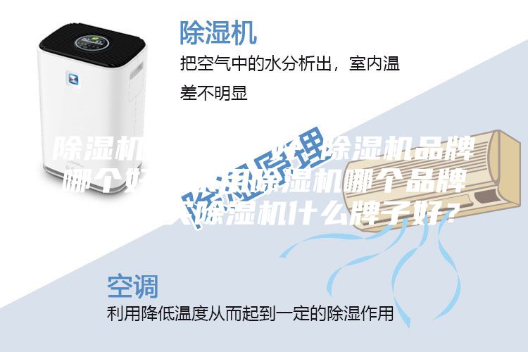 除濕機哪個牌子好 除濕機品牌哪個好?家用除濕機哪個品牌好,想買除濕機什么牌子好?