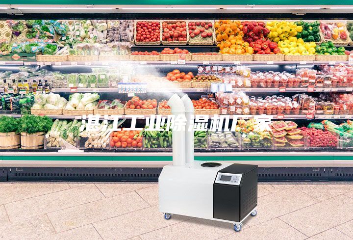 湛江工業(yè)除濕機(jī)廠家