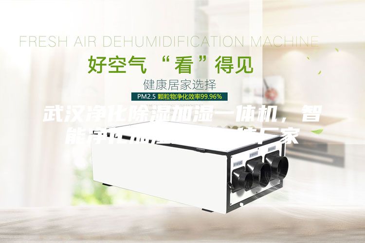 武漢凈化除濕加濕一體機(jī)，智能凈化加濕除濕一體廠家
