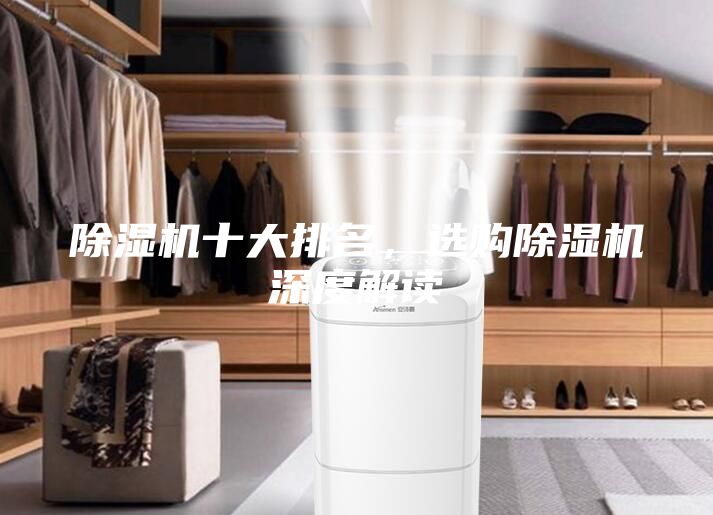 除濕機十大排名，選購除濕機深度解讀