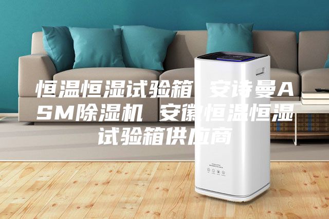 恒溫恒濕試驗箱 安詩曼ASM除濕機 安徽恒溫恒濕試驗箱供應商