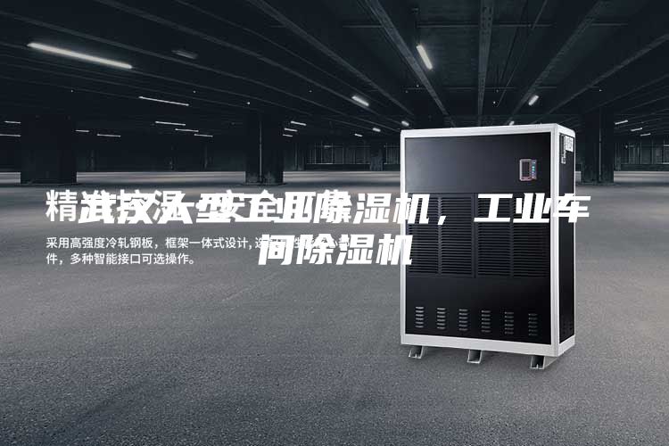 武漢大型工業(yè)除濕機,工業(yè)車間除濕機