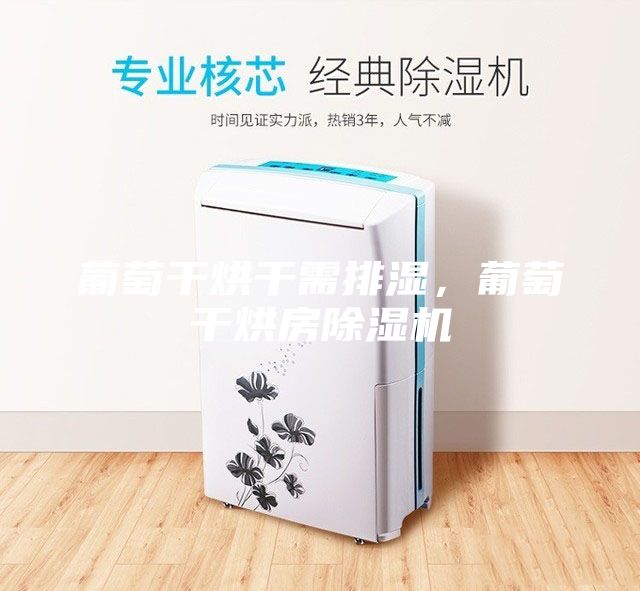 葡萄干烘干需排濕，葡萄干烘房除濕機