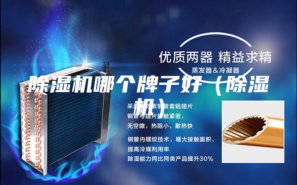 除濕機哪個牌子好（除濕機）