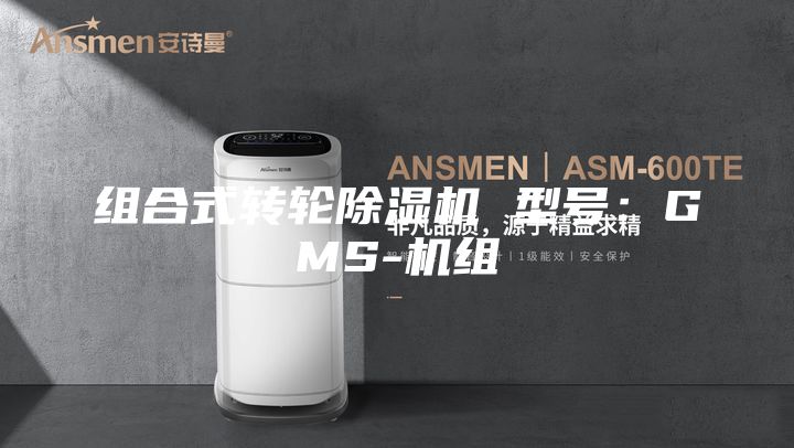 組合式轉(zhuǎn)輪除濕機 型號:GMS-機組