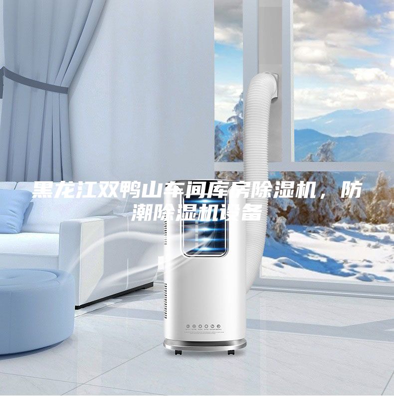 黑龍江雙鴨山車間庫房除濕機，防潮除濕機設備