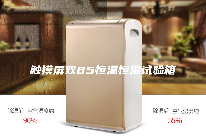 觸摸屏雙85恒溫恒濕試驗(yàn)箱