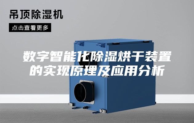 數(shù)字智能化除濕烘干裝置的實(shí)現(xiàn)原理及應(yīng)用分析
