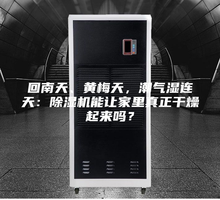 回南天、黃梅天，潮氣濕連天：除濕機(jī)能讓家里真正干燥起來嗎？