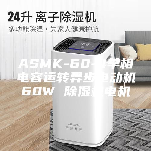 ASMK-60-4單相電容運轉異步電動機60W 除濕機電機