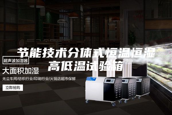 節能技術分體式恒溫恒濕高低溫試驗箱