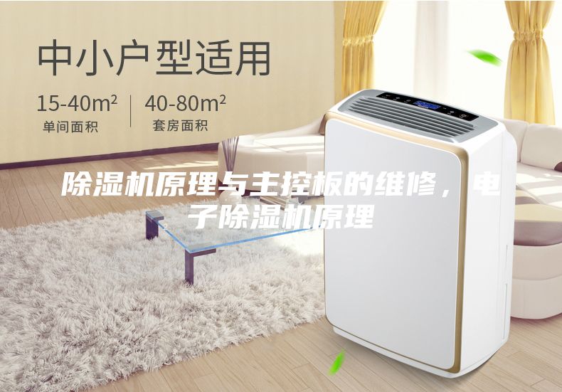 除濕機(jī)原理與主控板的維修，電子除濕機(jī)原理