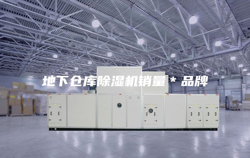 地下倉庫除濕機(jī)銷量＊品牌
