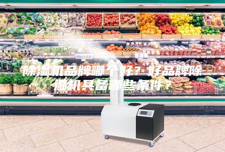 除濕機(jī)品牌哪個(gè)好？好品牌除濕機(jī)具備哪些條件？