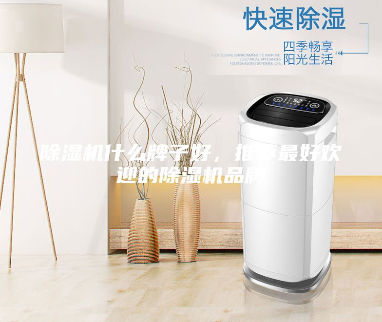 除濕機什么牌子好，推薦最好歡迎的除濕機品牌
