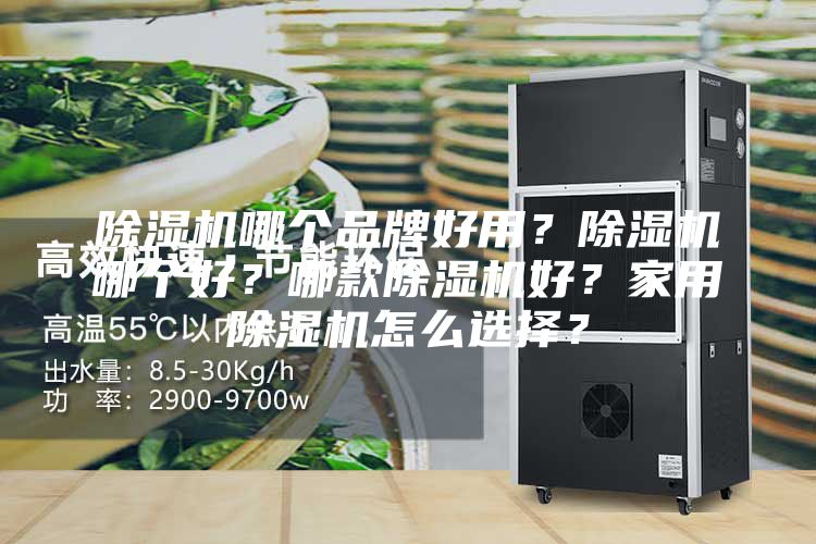 除濕機哪個品牌好用？除濕機哪個好？哪款除濕機好？家用除濕機怎么選擇？