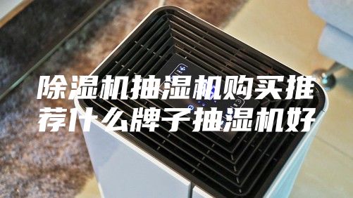 除濕機抽濕機購買推薦什么牌子抽濕機好