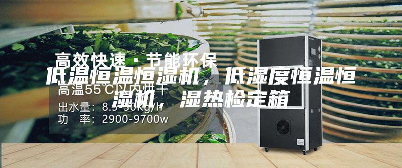 低溫恒溫恒濕機，低濕度恒溫恒濕機，濕熱檢定箱