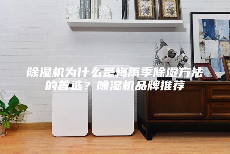 除濕機(jī)為什么是梅雨季除濕方法的首選？除濕機(jī)品牌推薦