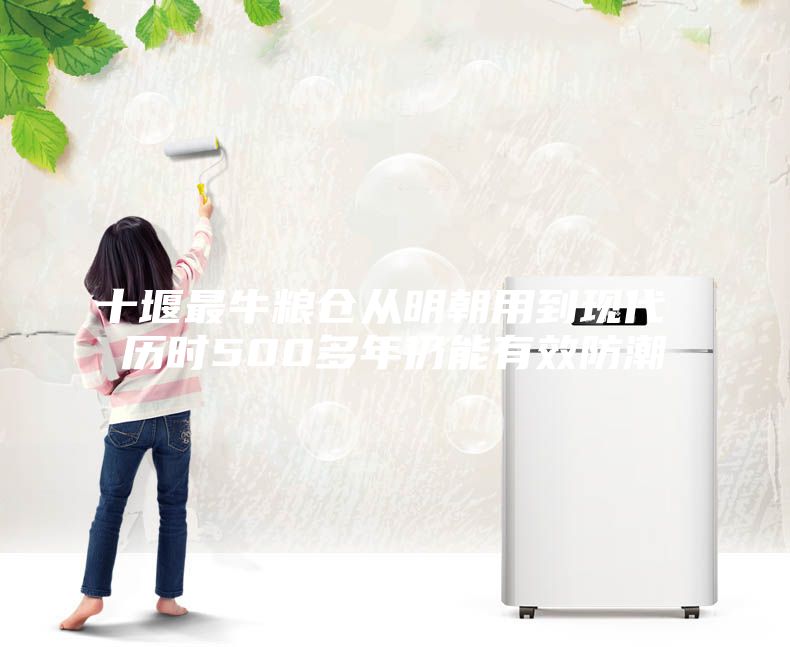 十堰最牛糧倉從明朝用到現代 歷時500多年仍能有效防潮