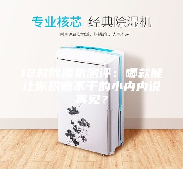 12款除濕機(jī)測評：哪款能讓你跟曬不干的小內(nèi)內(nèi)說再見？