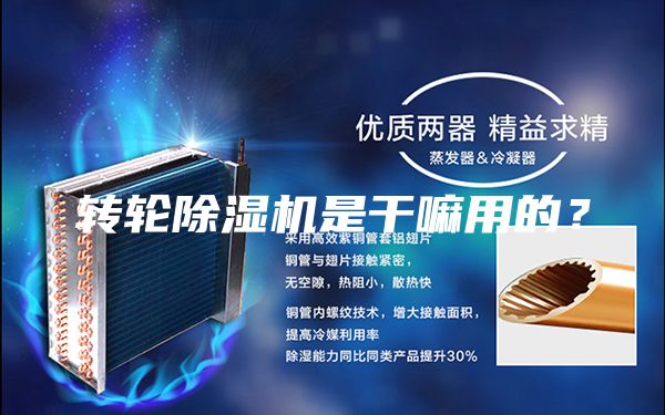 轉(zhuǎn)輪除濕機是干嘛用的?