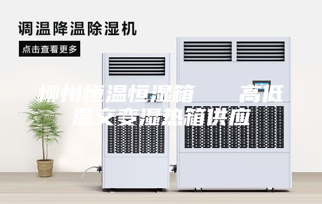 柳州恒溫恒濕箱   高低溫交變濕熱箱供應