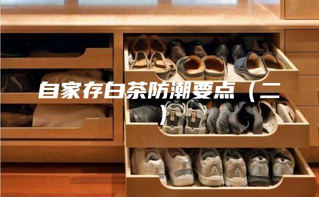 自家存白茶防潮要點(二)